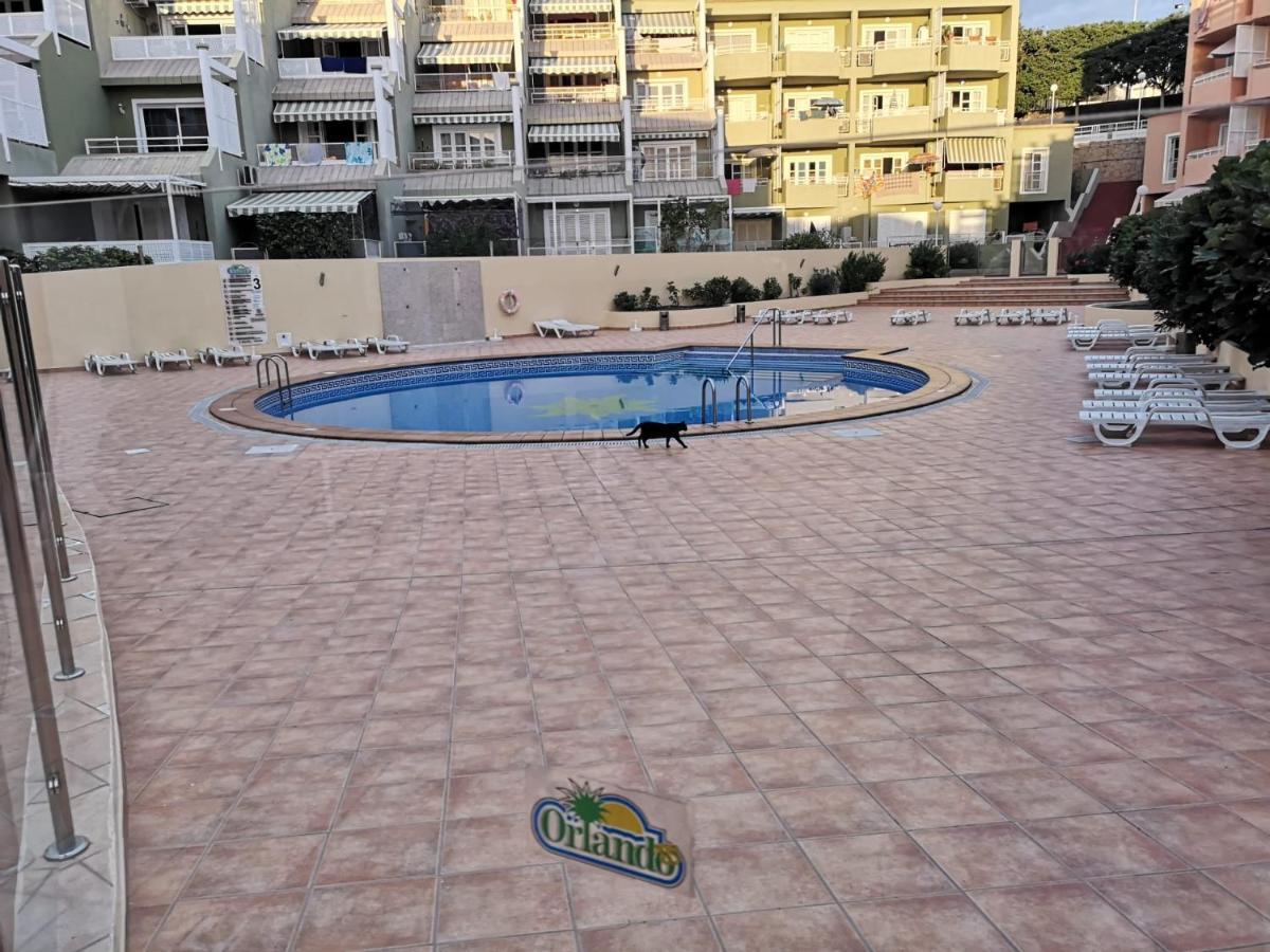 ORLANDO RESORT Playa Las Américas Costa Adeje  Extérieur photo